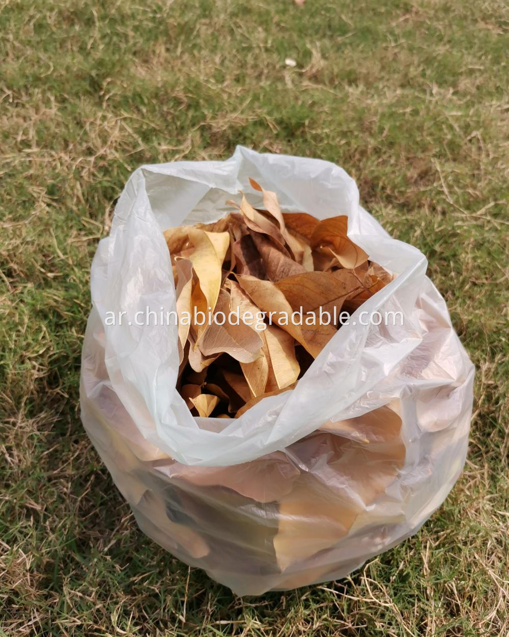 EN13432/BPI Certified Biodegradable Food Bin Bags